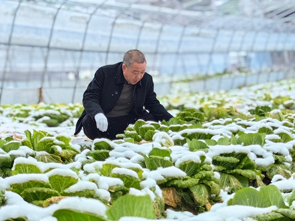 0d673f986df6ea764ef1b1acc967e839_c43f58a1690f4deb8a5dedb23348a3cb_wh580x435