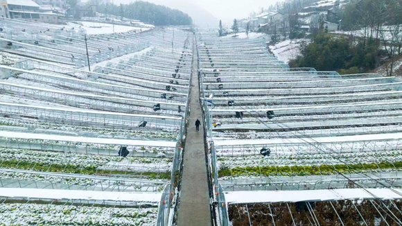 354707a775d9c9f7d12ba83d667ec15a_55cbcee7f35c4daa82b68efa1f36d5a4_wh580x326