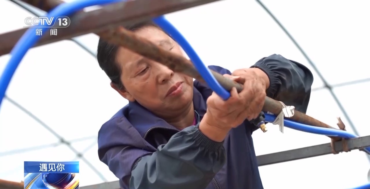 ecf78b6fe0b68ae4a378fc7df1dfa2fe_74ed3dbaf0ca468abe9fdb6011994694