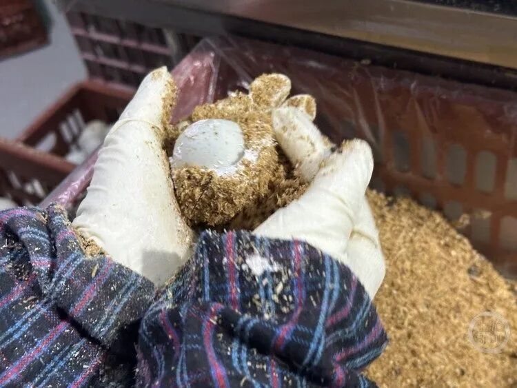 1e7236a07d1c0c6029e40538607a4717_571b6fe30d63e052cadffa221a3dc663