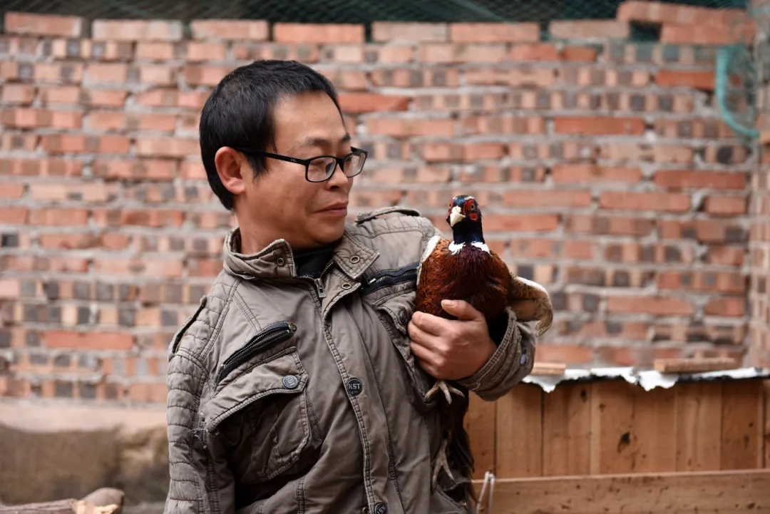 facb607f29573ab705b01cdbdfa4d9b9_640_wx_fmt=jpeg&from=appmsg&tp=webp&wxfrom=5&wx_lazy=1#imgIndex=6