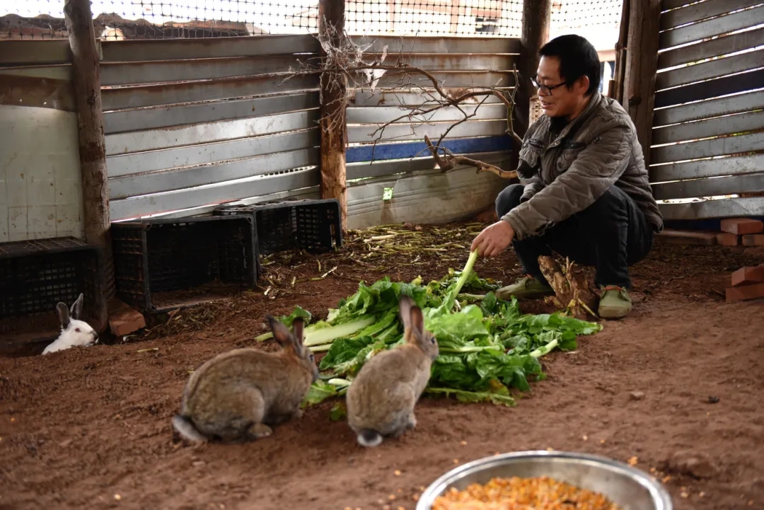 306b2299bda9fa914af555eacaed3c0e_640_wx_fmt=jpeg&from=appmsg&tp=webp&wxfrom=5&wx_lazy=1#imgIndex=5