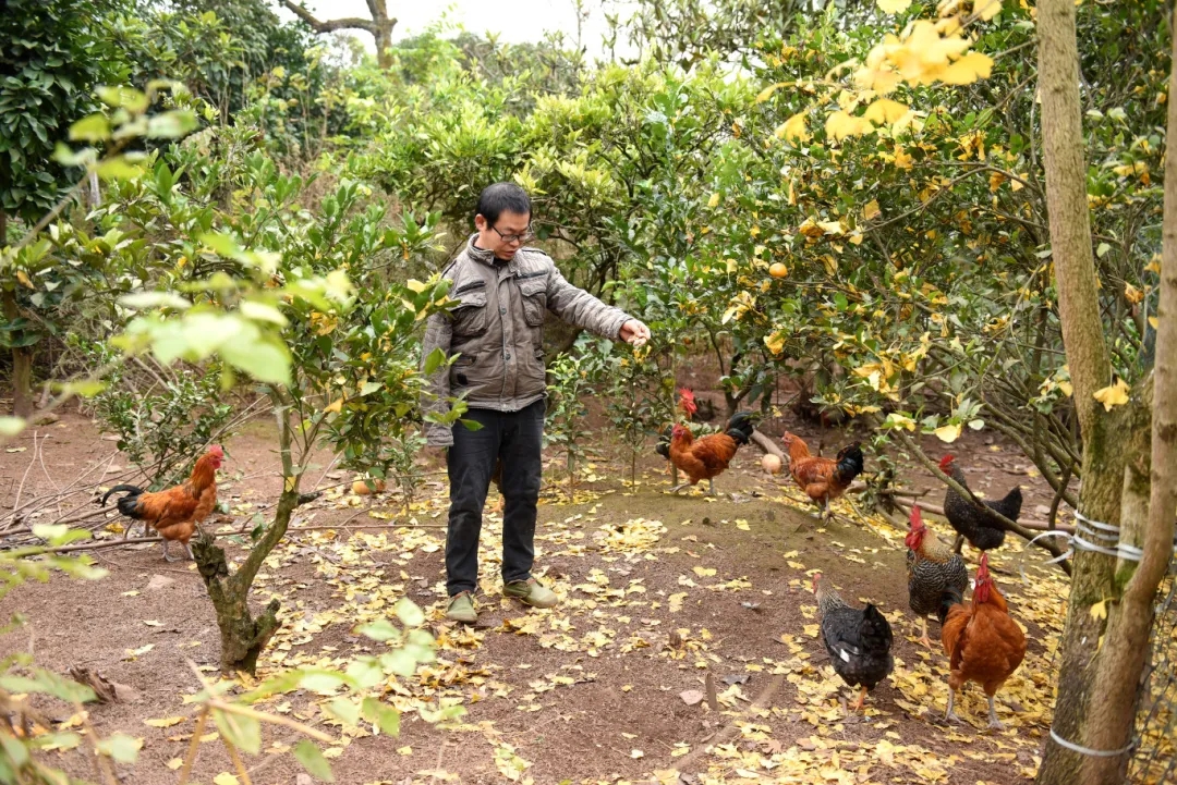 6c428976a502d53ad9eacc18f47e170e_640_wx_fmt=jpeg&from=appmsg&tp=webp&wxfrom=5&wx_lazy=1#imgIndex=3