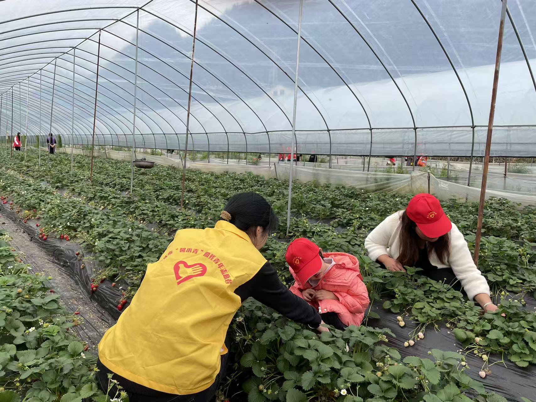 fa36db8a36ce4503163be1bf8a1355e7